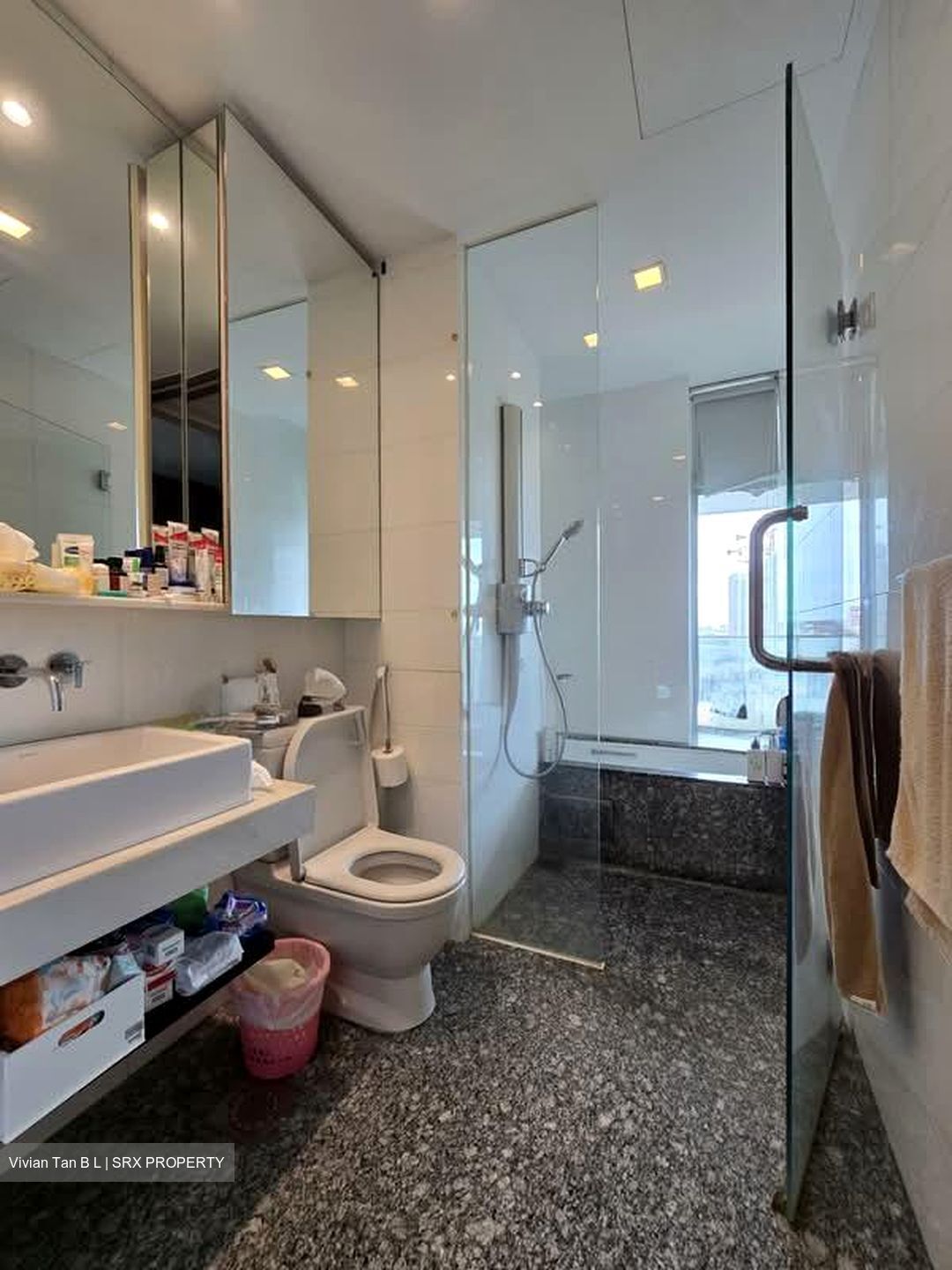 The Riverine By The Park (D12), Apartment #582150751